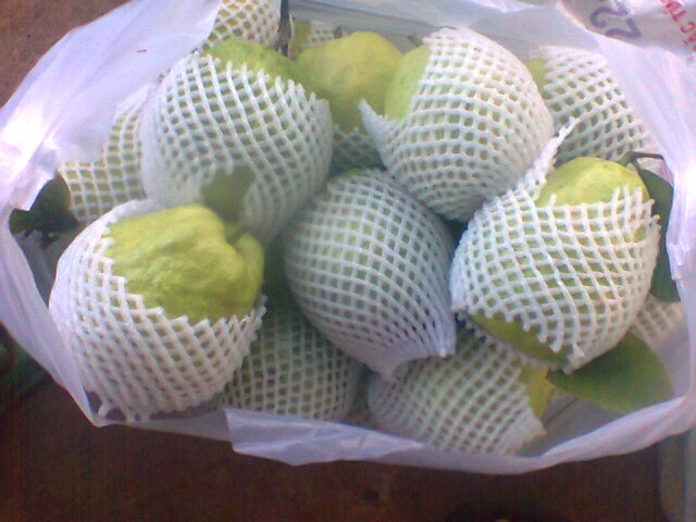 Mút, lưới bao trái cây xuất khẩu Tân Phú Quý