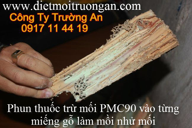 BẢO VỆ SÀN GỖ, TỦ ÂM TƯỜNG KHÔNG BỊ MỐI XÔNG