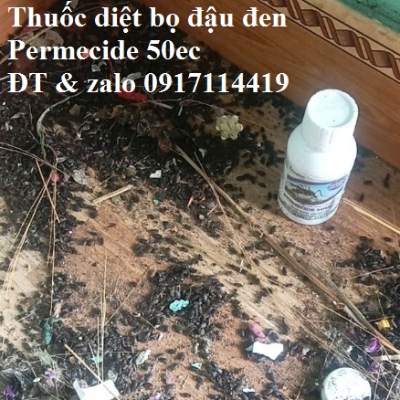 Thuốc diệt bọ đậu đen hiệu quả