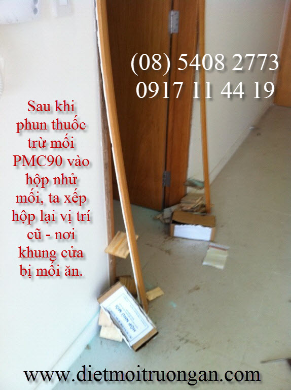 CÁCH BẢO VỆ SÀN GỖ, TỦ ÂM TƯỜNG KHÔNG BỊ MỐI