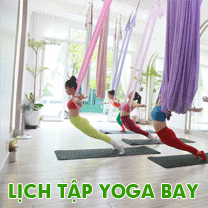 Học Yoga Bay ở đâu HCM