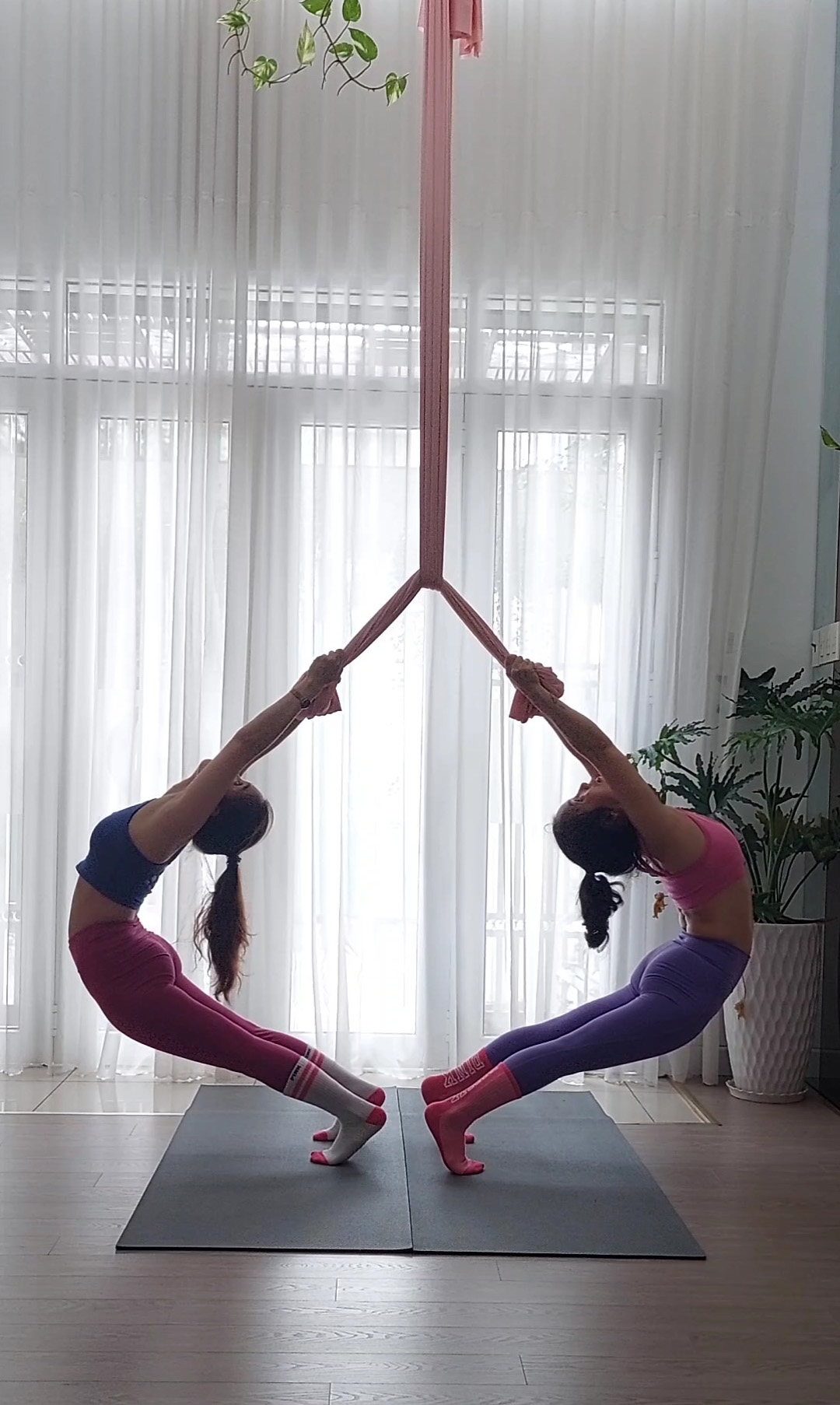 Yoga Bay - Aerial Yoga