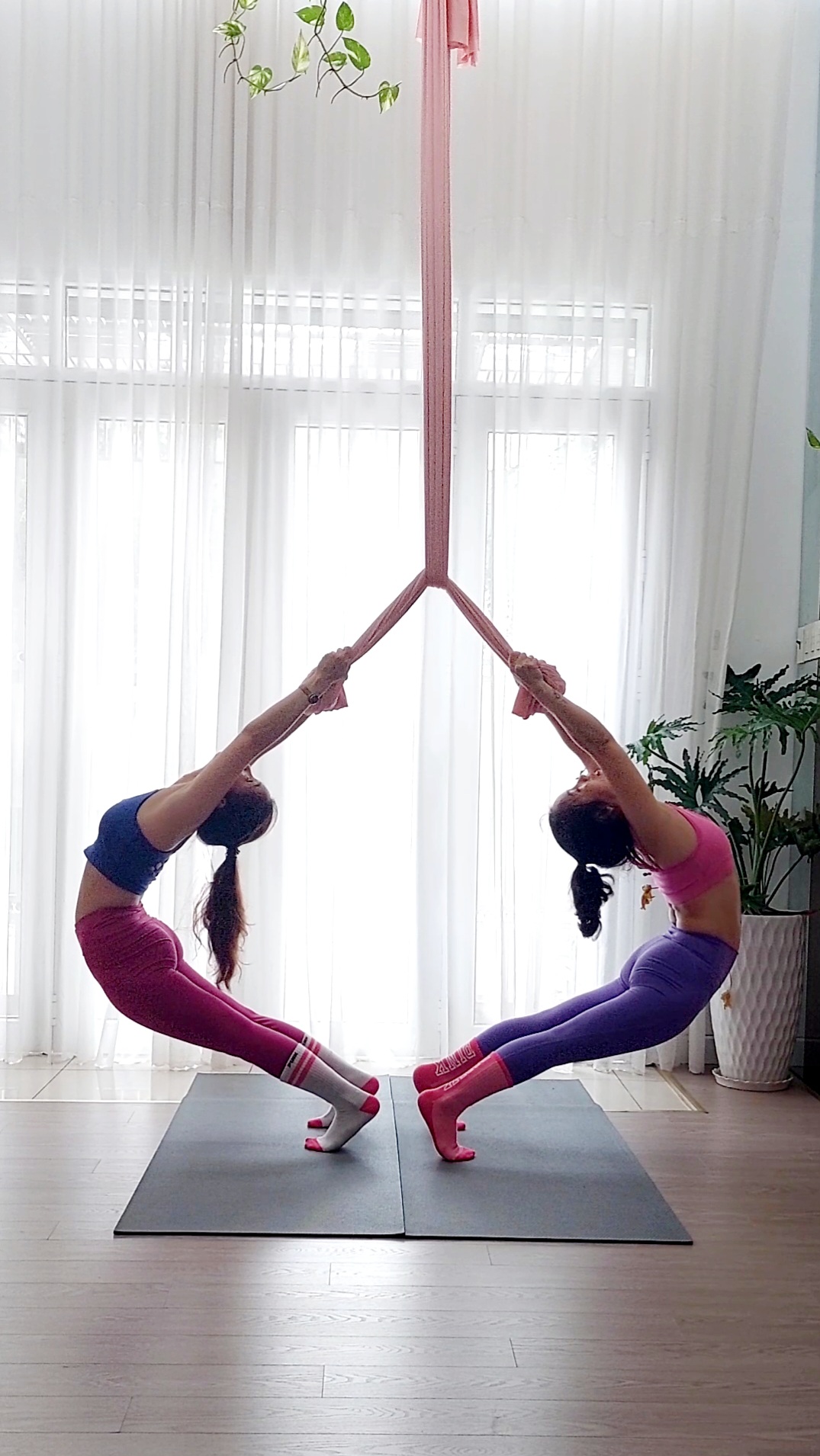 Aerial Yoga HCM