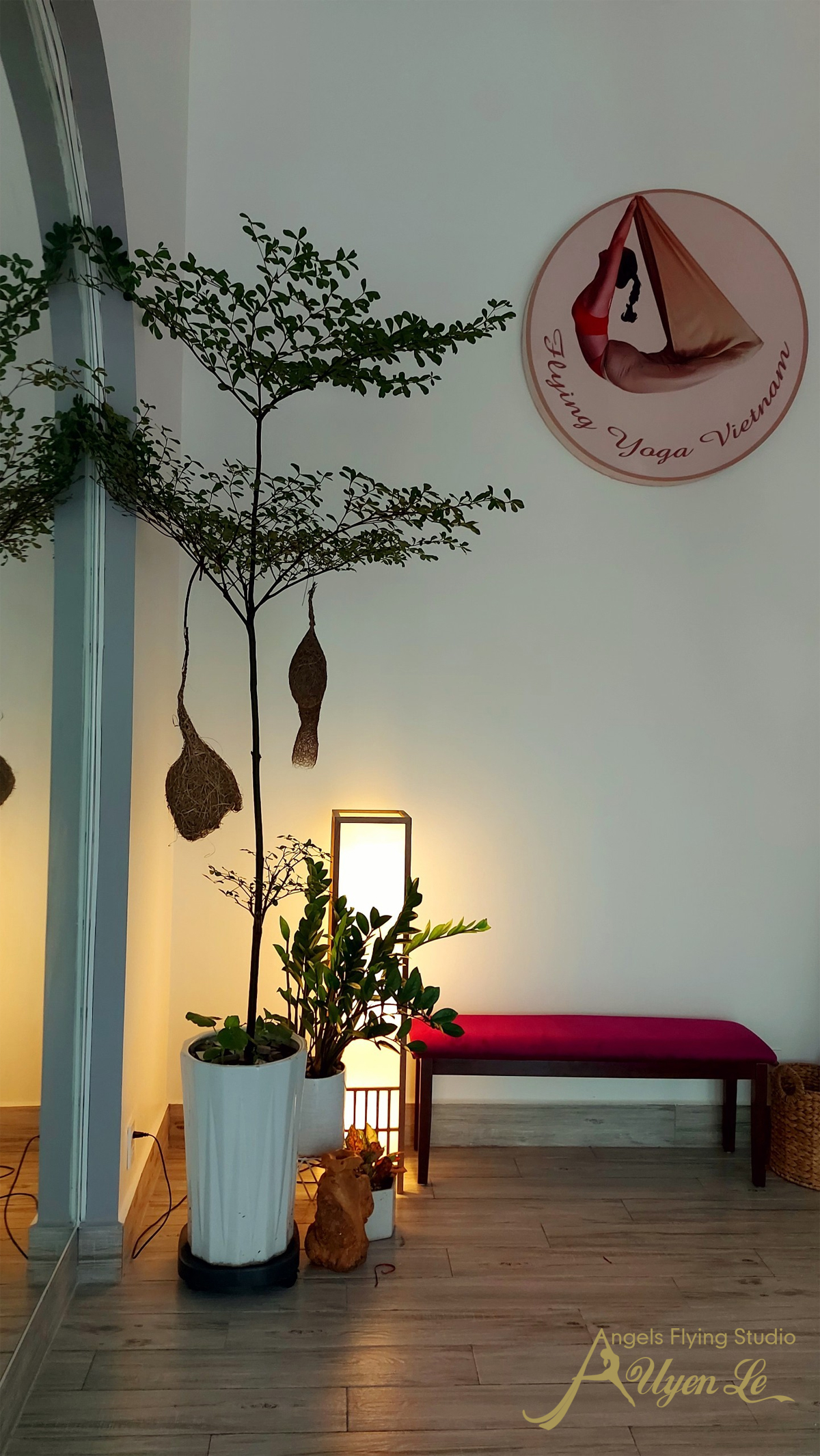 Học Yoga Bay ở đâu HCM