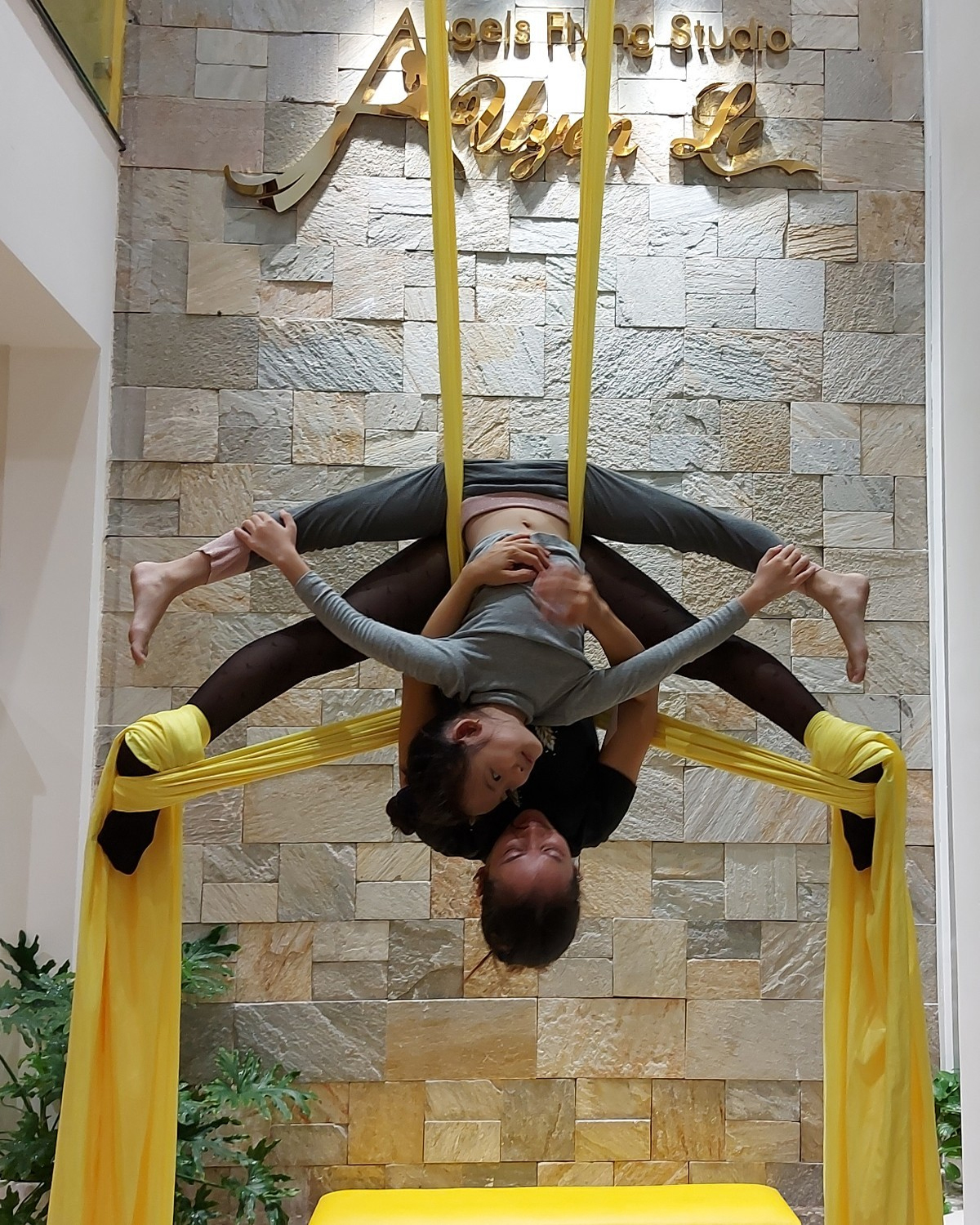 Aerial Yoga HCM